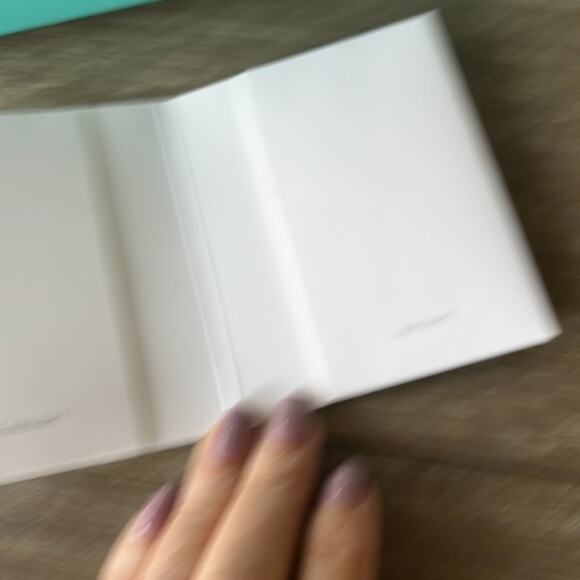 Tiffany & Co. Bag and Gift Box - Picture 5 of 12